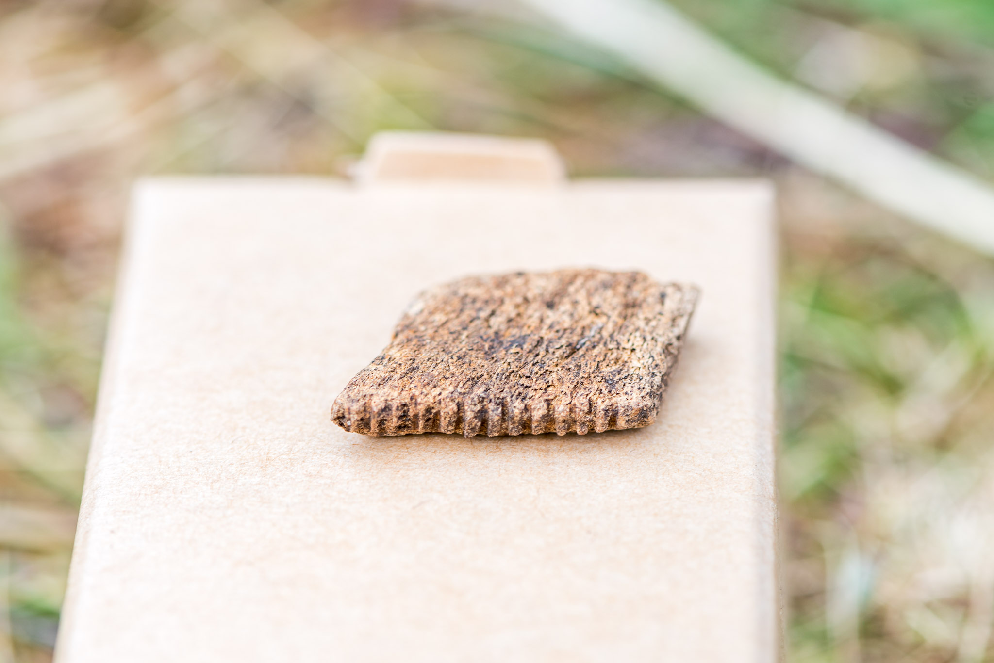 Tredje veckan slutade i regn och rusk